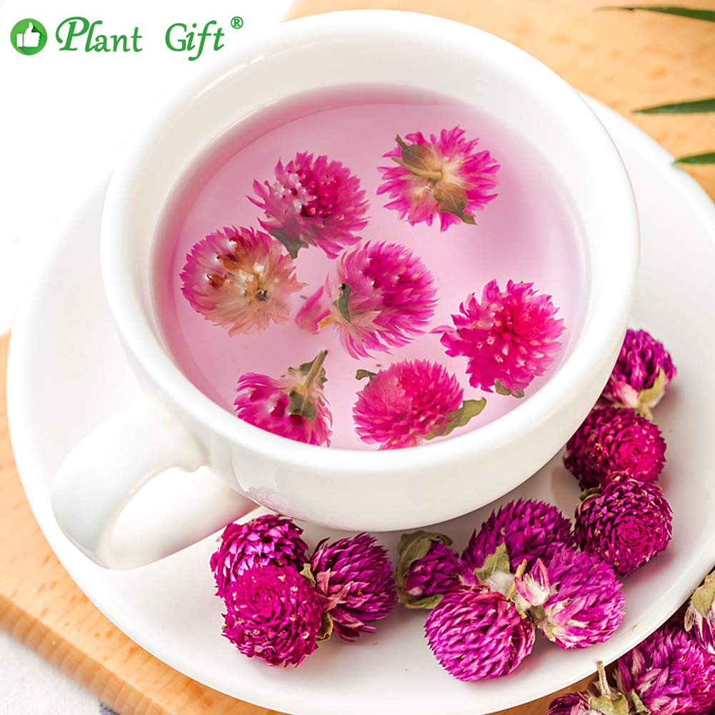 Plant Gift Dried Gomphrena globosa Flower, Natural Globe Amaranth Flower Blooming Flower Tea Natural Royal Scented Tea Gomphrena Rose Tea, Globe Amaranth, Edible Gomphrena Flower 30g/1.05oz