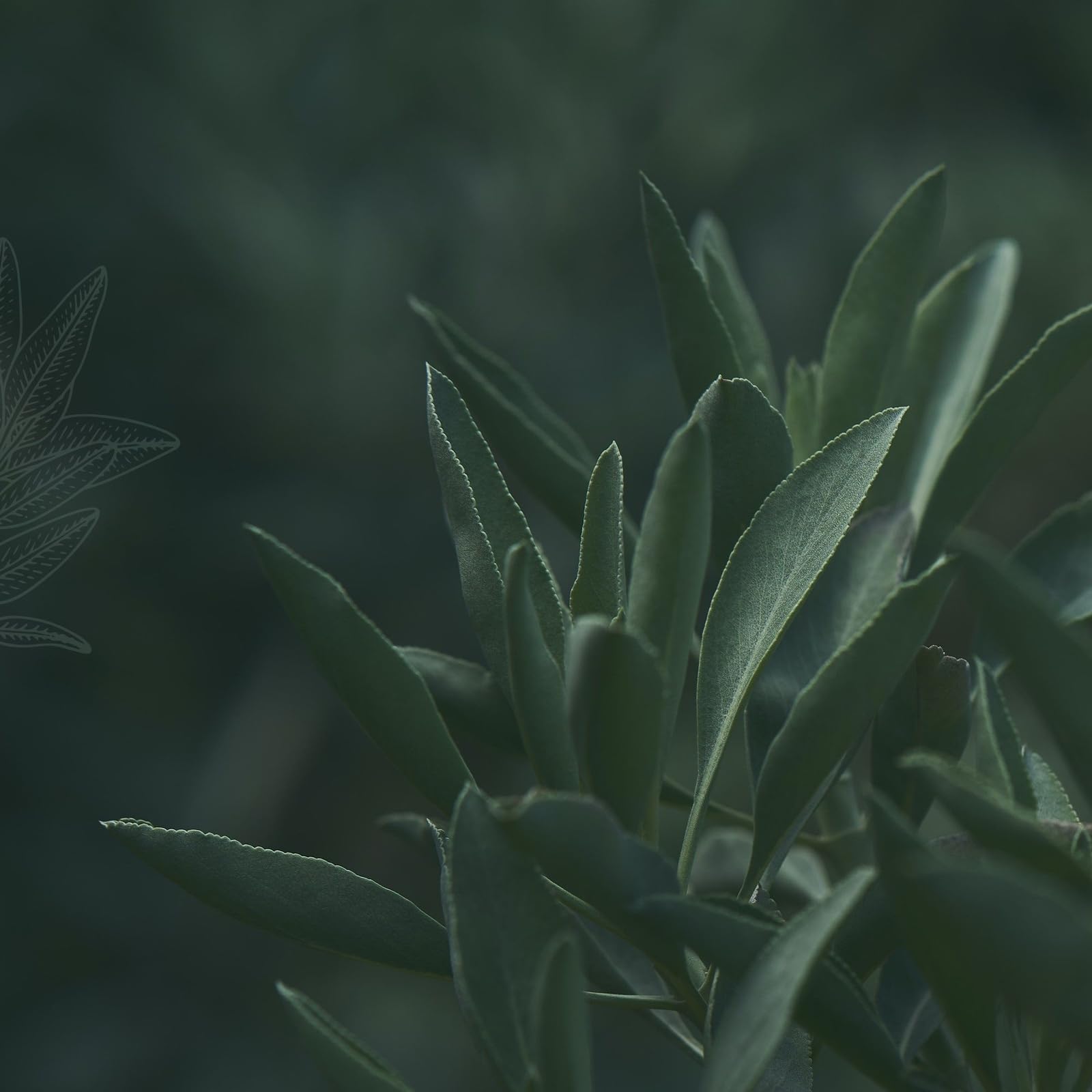 Magnificent 101 Long-Lasting Home Blessing - Love & Laughter Aromatherapy Smudge Candle - 6 Oz - 35-Hour Burn - Soy Wax, Sage, Bergamot & Sandalwood - Meditation & Manifestation - Sage Candle