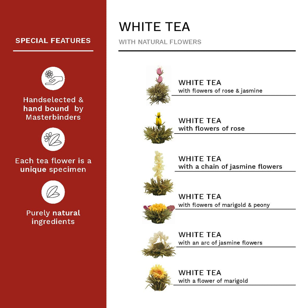 Creano Blooming Tea Gift Set with Glass Teapot 17oz (500ml) - Green Tea Fruity Flavoured Tea Flowers in 6 Varieties - Flowering Tea Gift for Easter
