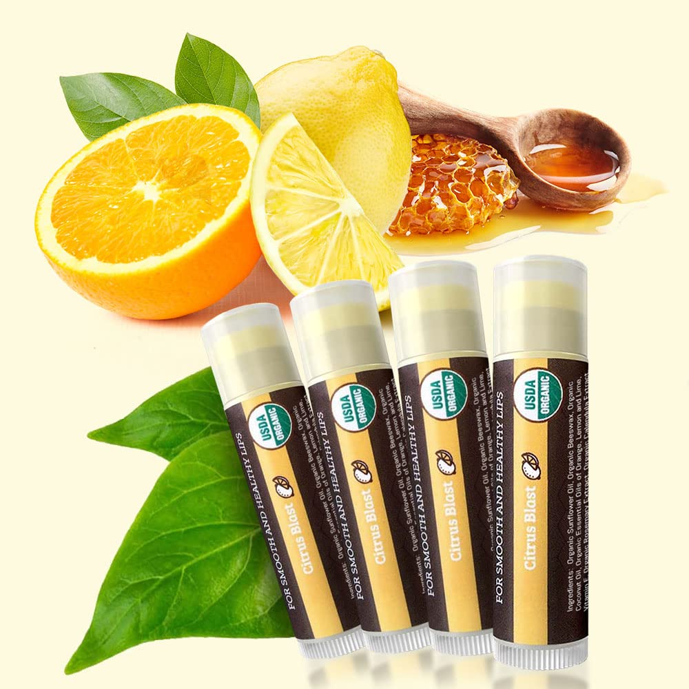 Earth's Daughter USDA Organic Lip Balm 6-Pack - Fruit Flavors, Beeswax, Coconut Oil, Vitamin E - Best Lip Repair Chapstick for Dry Cracked Lips - Moisturizing Lip Care