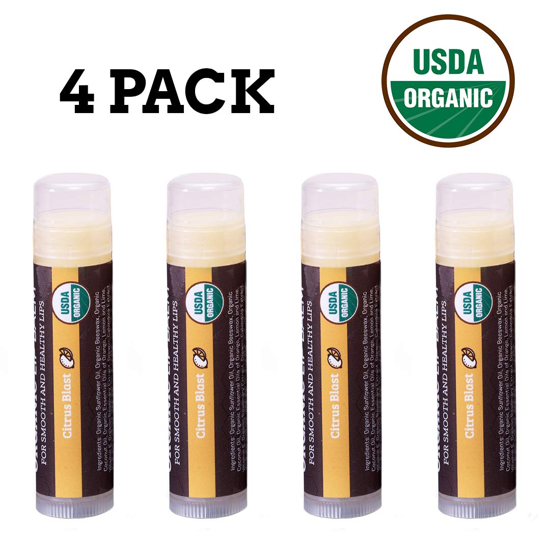 Earth's Daughter USDA Organic Lip Balm 6-Pack - Fruit Flavors, Beeswax, Coconut Oil, Vitamin E - Best Lip Repair Chapstick for Dry Cracked Lips - Moisturizing Lip Care