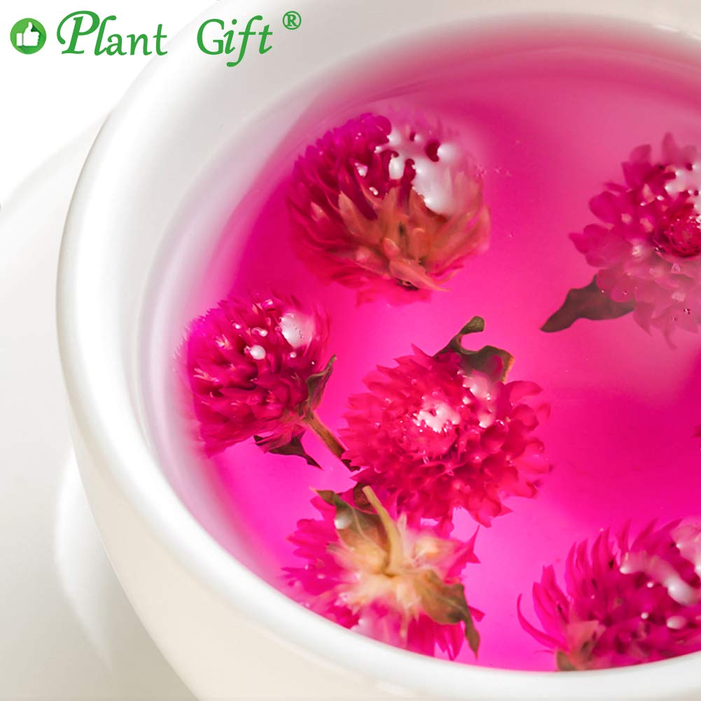 Plant Gift Dried Gomphrena globosa Flower, Natural Globe Amaranth Flower Blooming Flower Tea Natural Royal Scented Tea Gomphrena Rose Tea, Globe Amaranth, Edible Gomphrena Flower 30g/1.05oz