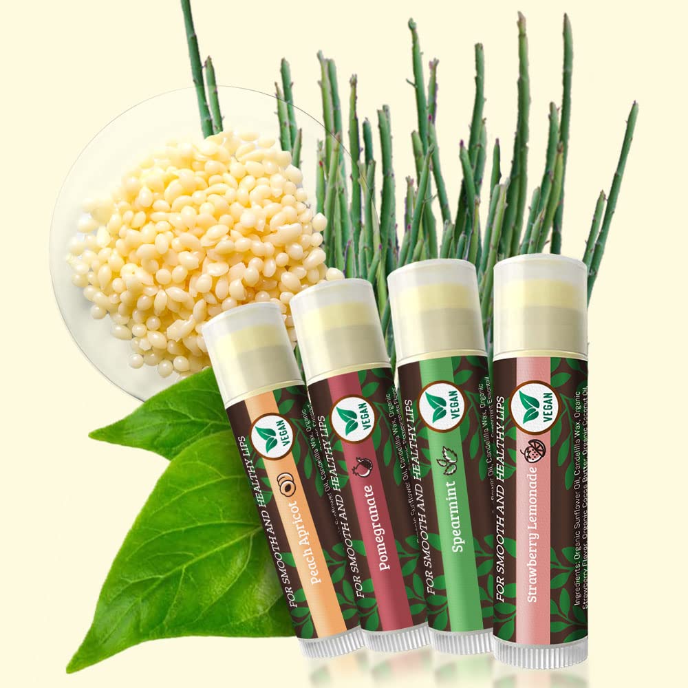 Earth's Daughter USDA Organic Lip Balm 6-Pack - Fruit Flavors, Beeswax, Coconut Oil, Vitamin E - Best Lip Repair Chapstick for Dry Cracked Lips - Moisturizing Lip Care
