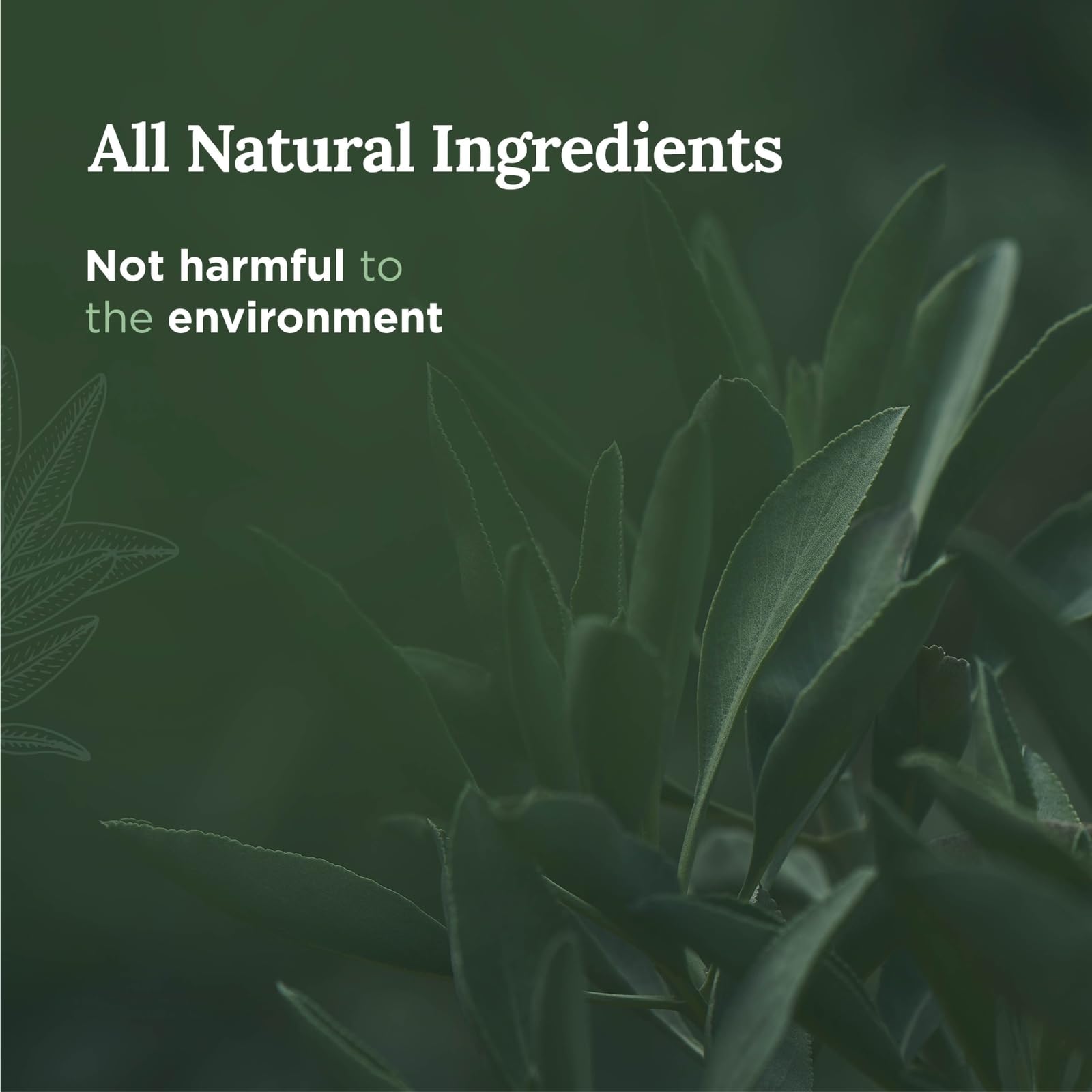 Magnificent 101 Long-Lasting Home Blessing - Love & Laughter Aromatherapy Smudge Candle - 6 Oz - 35-Hour Burn - Soy Wax, Sage, Bergamot & Sandalwood - Meditation & Manifestation - Sage Candle