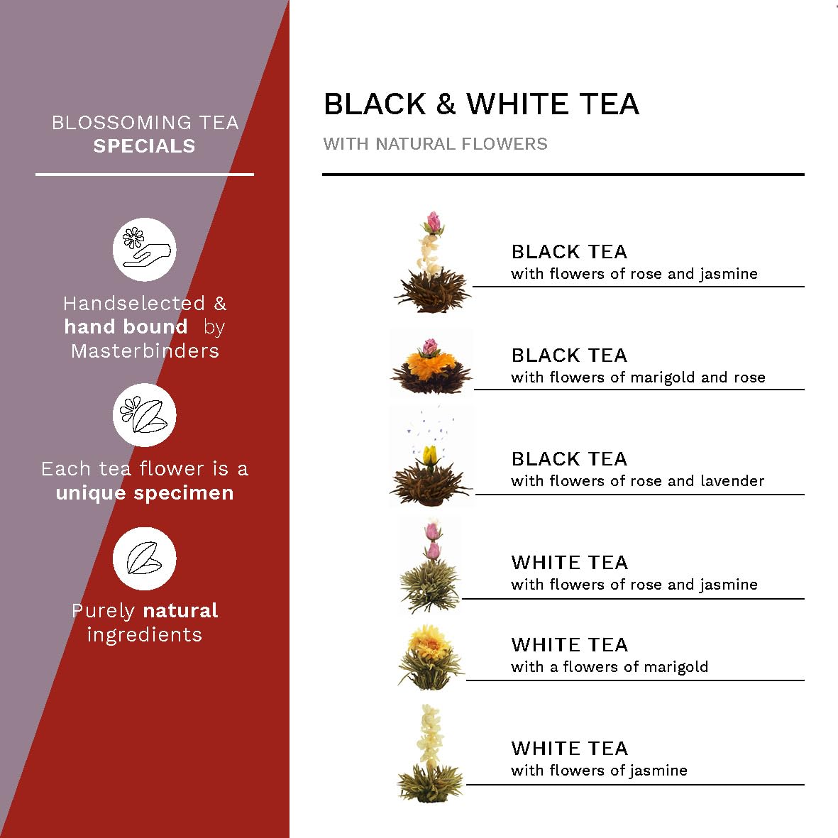 Creano Blooming Tea Gift Set with Glass Teapot 17oz (500ml) - Green Tea Fruity Flavoured Tea Flowers in 6 Varieties - Flowering Tea Gift for Easter
