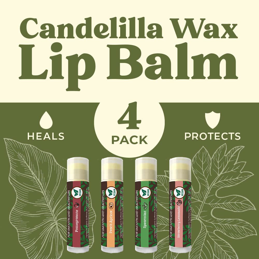 Earth's Daughter USDA Organic Lip Balm 6-Pack - Fruit Flavors, Beeswax, Coconut Oil, Vitamin E - Best Lip Repair Chapstick for Dry Cracked Lips - Moisturizing Lip Care