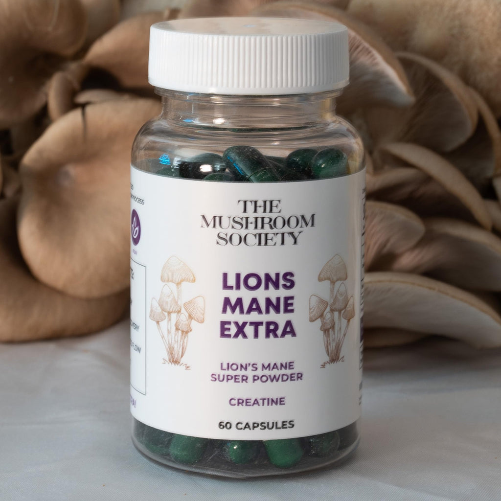 Morning Rush - Lion’s Mane, Ashwagandha, Turmeric & B12 Extract Blend Supplement - Focus & Energy Support - 60 Vegan Capsules