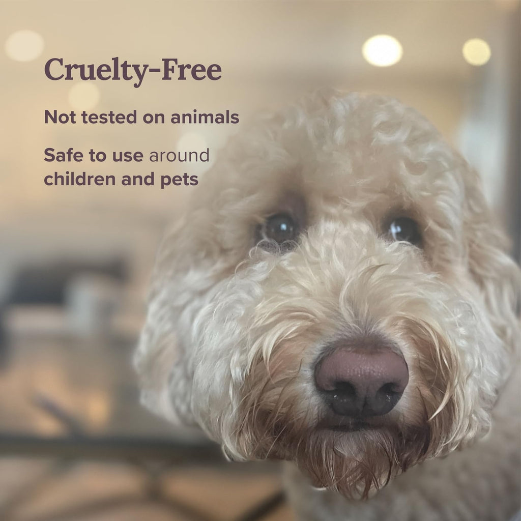 Magnificent 101 Long-Lasting Home Blessing - Love & Laughter Aromatherapy Smudge Candle - 6 Oz - 35-Hour Burn - Soy Wax, Sage, Bergamot & Sandalwood - Meditation & Manifestation - Sage Candle