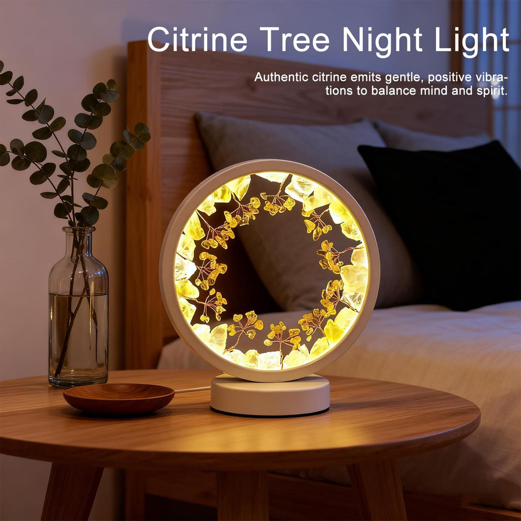 Runyangshi Amethyst Night Lamp 8.6" Natural Healing Crystal Bedside Lamp USB Port 3 Colours Dimming Mode Bedroom Lamp Suitable Night Light for Living Room Bedroom Office Home Decor Ideal Gift