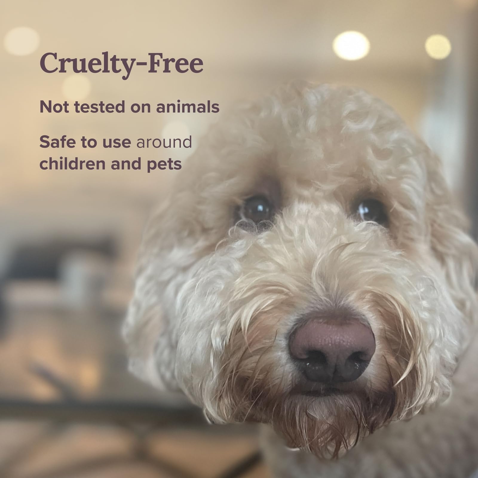 Magnificent 101 Long-Lasting Home Blessing - Love & Laughter Aromatherapy Smudge Candle - 6 Oz - 35-Hour Burn - Soy Wax, Sage, Bergamot & Sandalwood - Meditation & Manifestation - Sage Candle