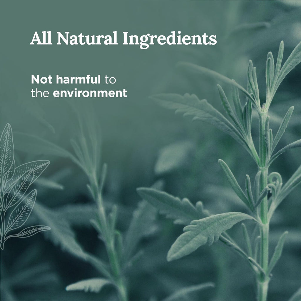 Magnificent 101 Long-Lasting Home Blessing - Love & Laughter Aromatherapy Smudge Candle - 6 Oz - 35-Hour Burn - Soy Wax, Sage, Bergamot & Sandalwood - Meditation & Manifestation - Sage Candle