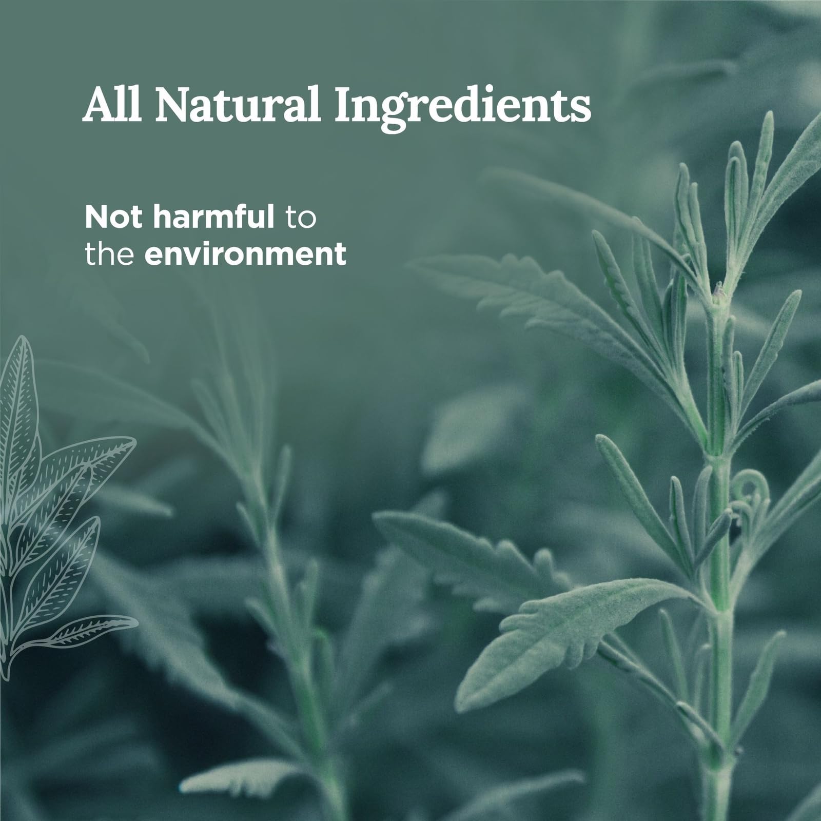 Magnificent 101 Long-Lasting Home Blessing - Love & Laughter Aromatherapy Smudge Candle - 6 Oz - 35-Hour Burn - Soy Wax, Sage, Bergamot & Sandalwood - Meditation & Manifestation - Sage Candle