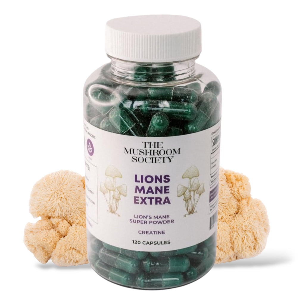 Morning Rush - Lion’s Mane, Ashwagandha, Turmeric & B12 Extract Blend Supplement - Focus & Energy Support - 60 Vegan Capsules