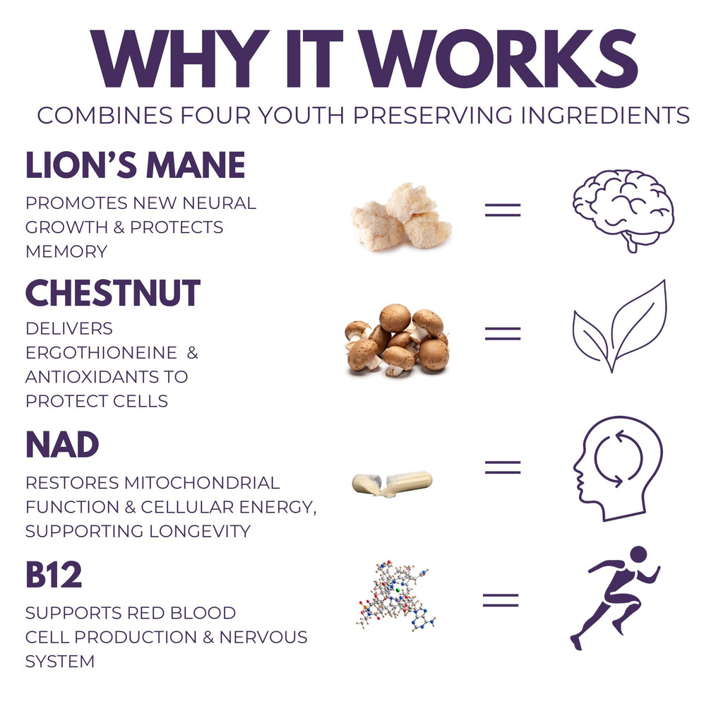Morning Rush - Lion’s Mane, Ashwagandha, Turmeric & B12 Extract Blend Supplement - Focus & Energy Support - 60 Vegan Capsules