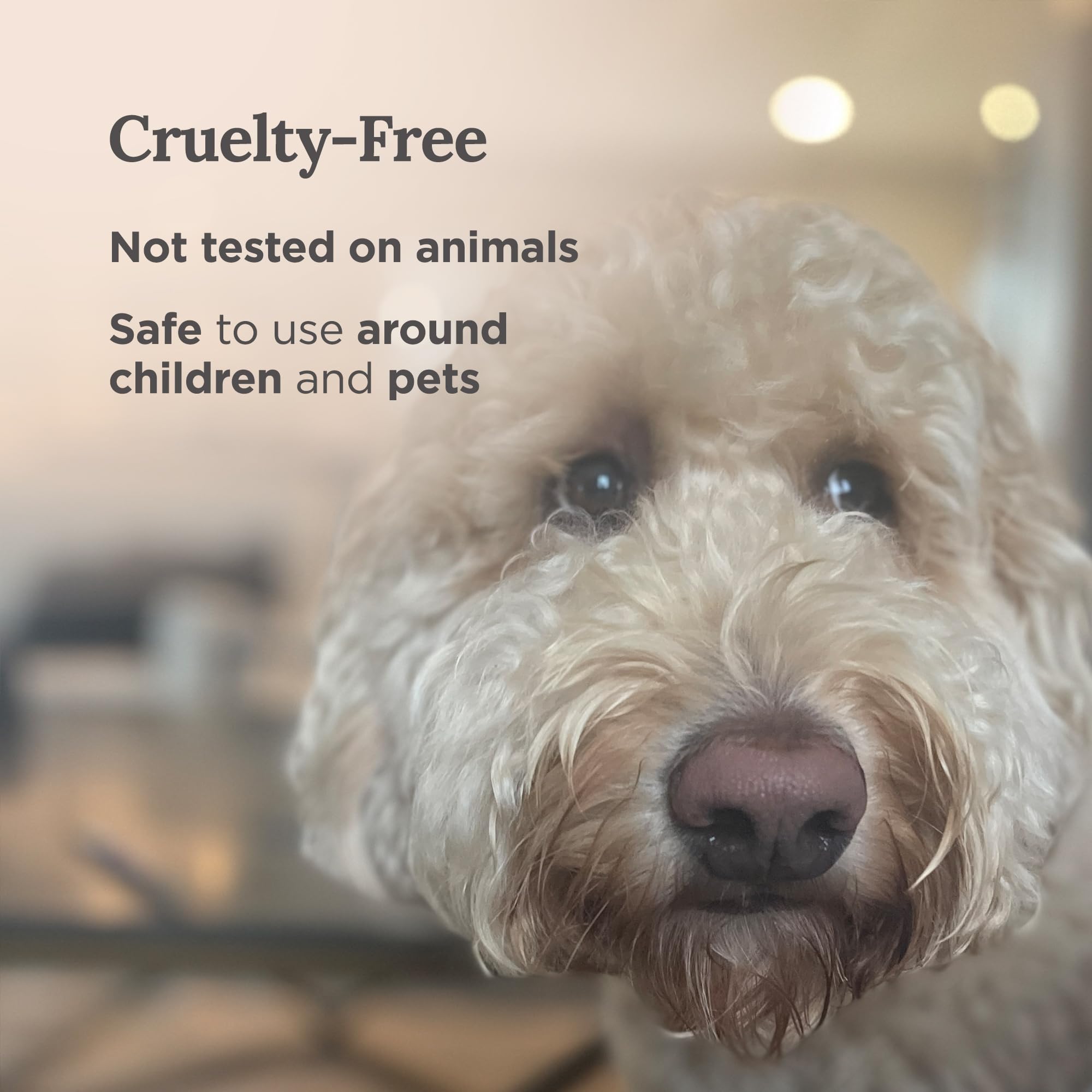 Magnificent 101 Long-Lasting Home Blessing - Love & Laughter Aromatherapy Smudge Candle - 6 Oz - 35-Hour Burn - Soy Wax, Sage, Bergamot & Sandalwood - Meditation & Manifestation - Sage Candle