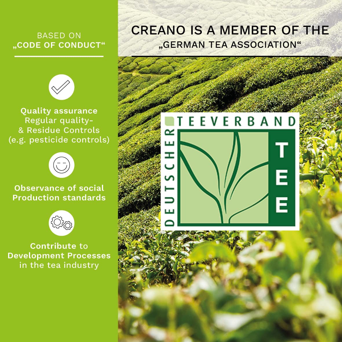Creano Blooming Tea Gift Set with Glass Teapot 17oz (500ml) - Green Tea Fruity Flavoured Tea Flowers in 6 Varieties - Flowering Tea Gift for Easter
