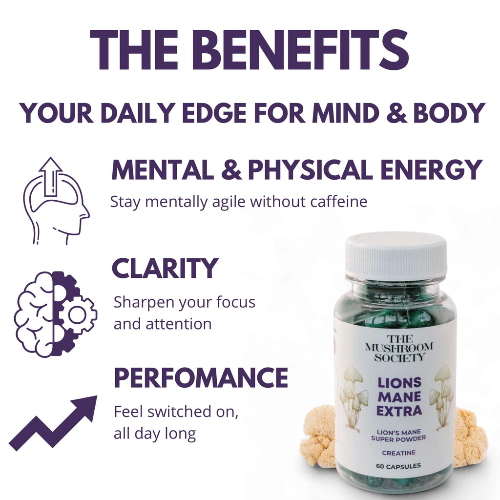 Morning Rush - Lion’s Mane, Ashwagandha, Turmeric & B12 Extract Blend Supplement - Focus & Energy Support - 60 Vegan Capsules