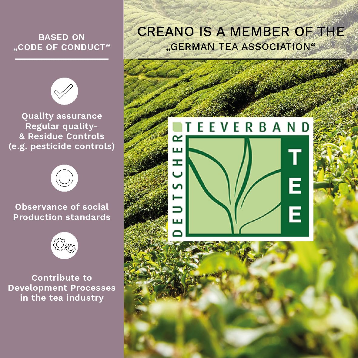 Creano Blooming Tea Gift Set with Glass Teapot 17oz (500ml) - Green Tea Fruity Flavoured Tea Flowers in 6 Varieties - Flowering Tea Gift for Easter