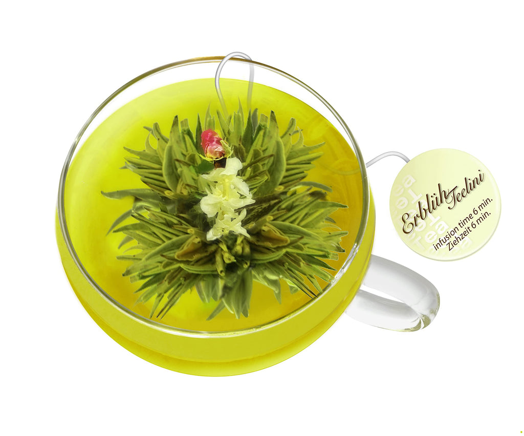 Creano Blooming Tea Gift Set with Glass Teapot 17oz (500ml) - Green Tea Fruity Flavoured Tea Flowers in 6 Varieties - Flowering Tea Gift for Easter
