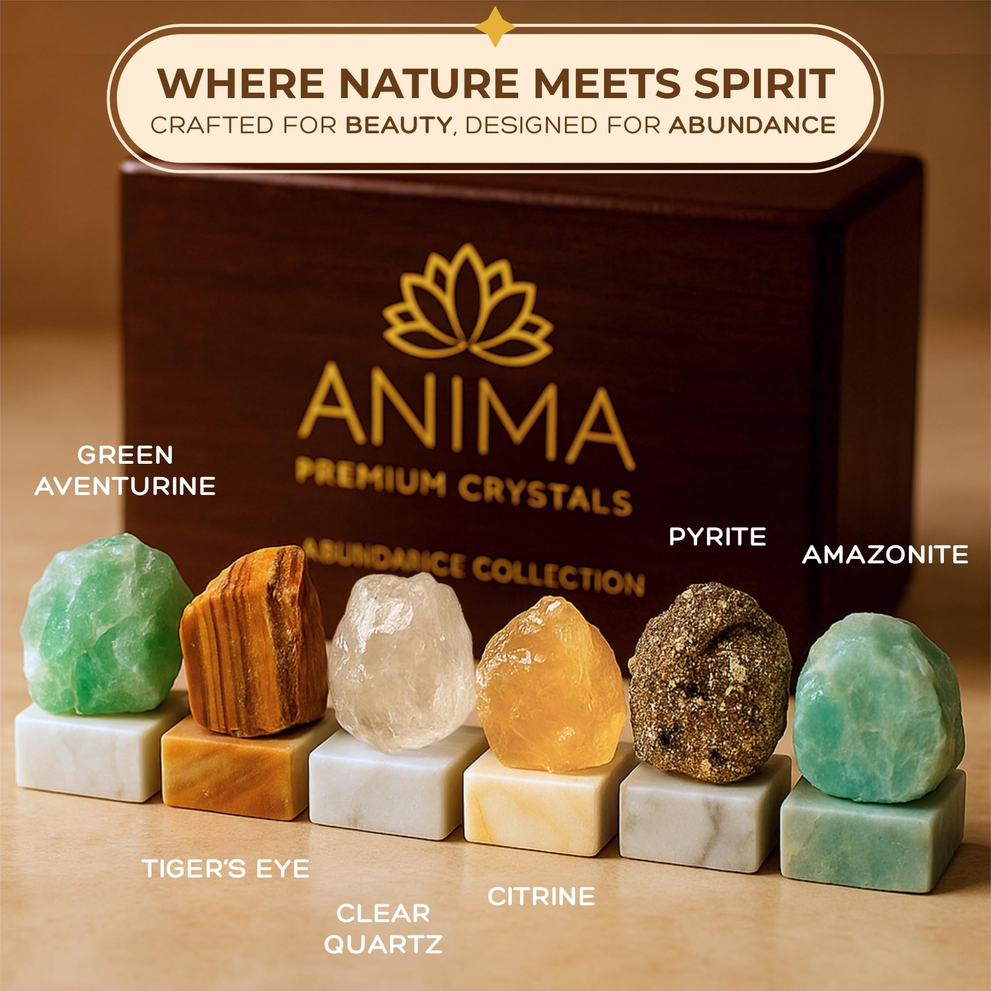 Anima Premium Protection Healing Crystals Set for Energy Shielding - Large Raw Obsidian, Black Tourmaline, Labradorite, Smoky Quartz & Selenite Bar - Wooden Gift Box and Guide Booklet Included