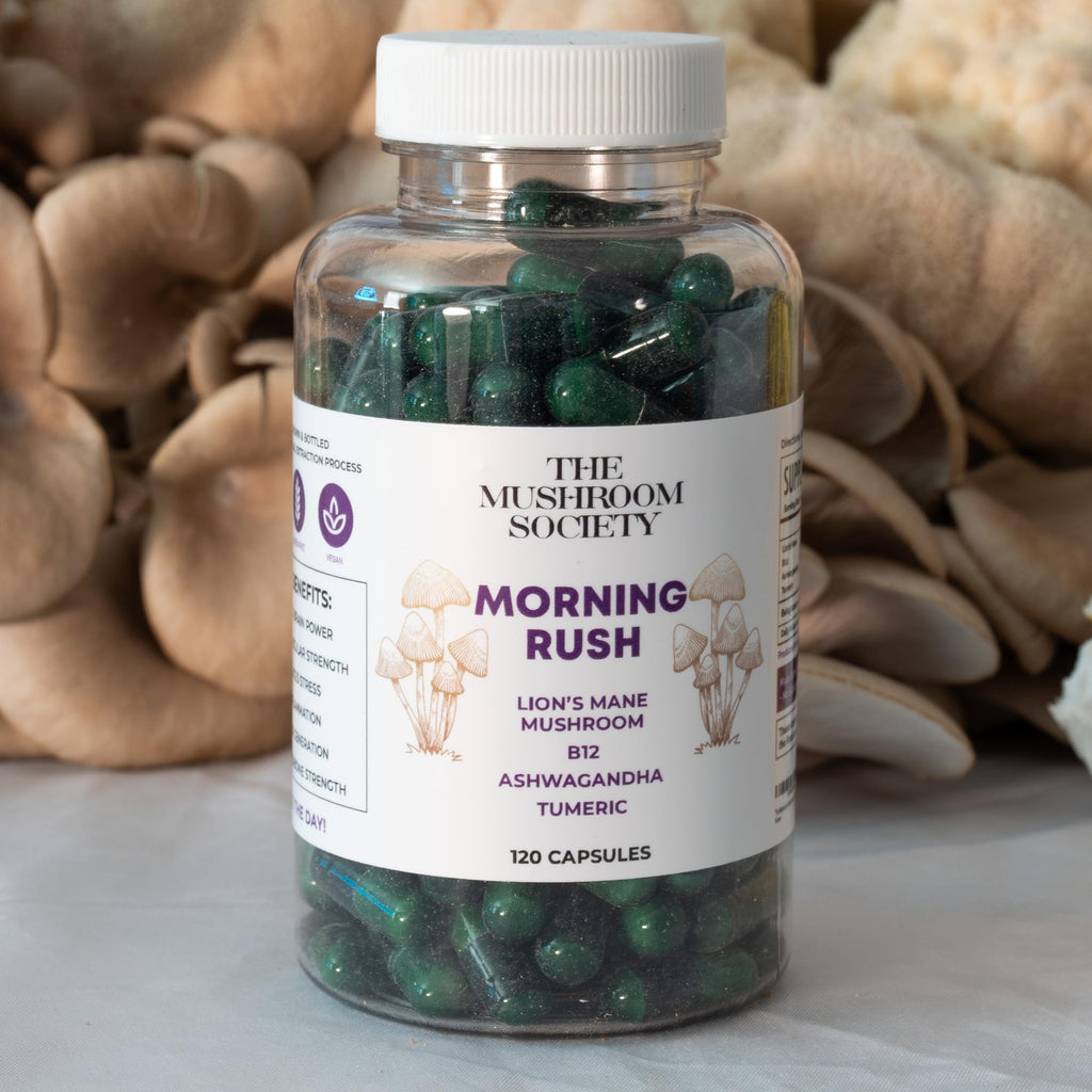 Morning Rush - Lion’s Mane, Ashwagandha, Turmeric & B12 Extract Blend Supplement - Focus & Energy Support - 60 Vegan Capsules