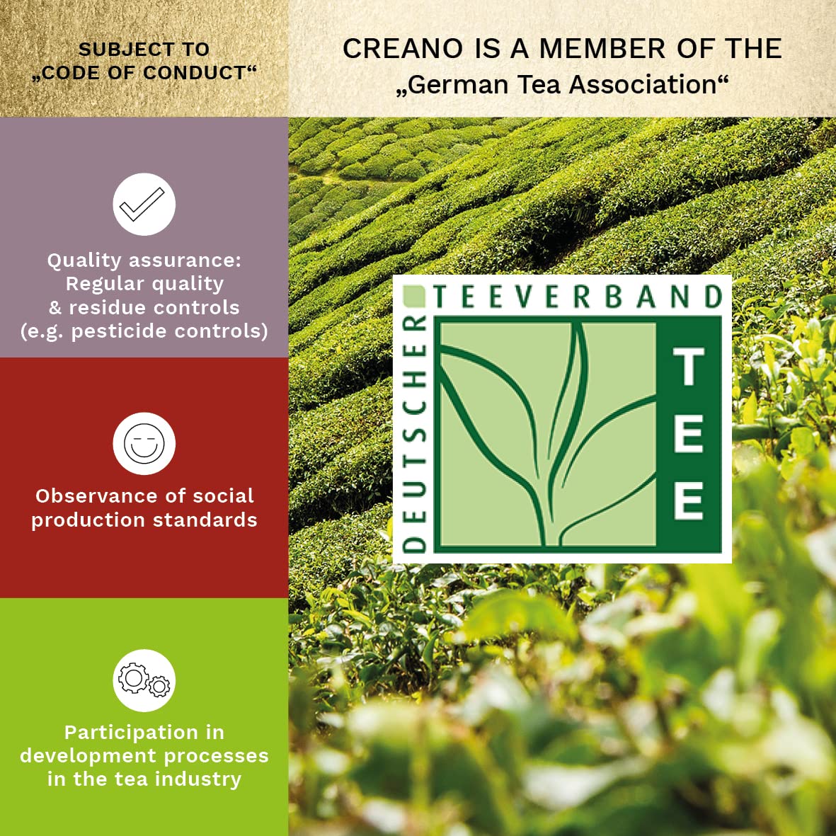 Creano Blooming Tea Gift Set with Glass Teapot 17oz (500ml) - Green Tea Fruity Flavoured Tea Flowers in 6 Varieties - Flowering Tea Gift for Easter